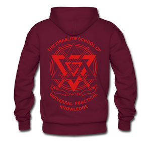 Hold The Torch Hoodie - burgundy