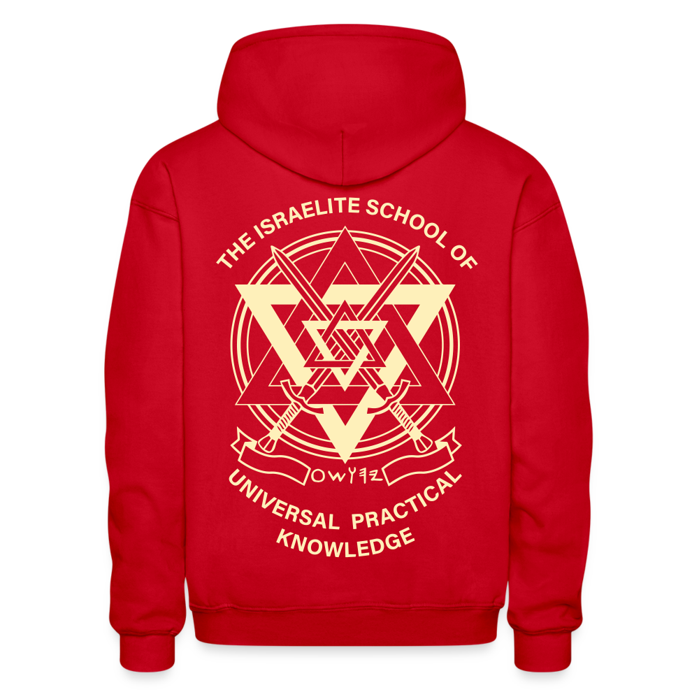 Burning Ambition Heavy Blend Adult Hoodie - red